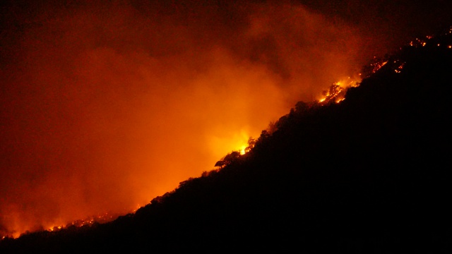 Пожар - Утришский заповедник - 5.jpg Пожар - Утришский заповедник - 5.jpg